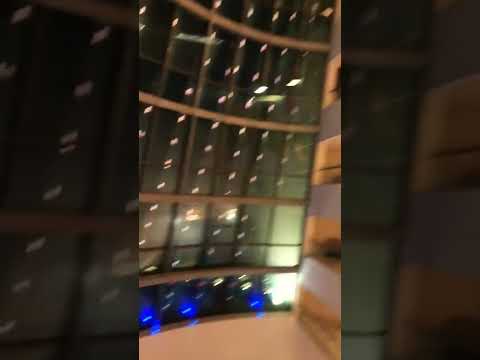    سوفتيل الخبر 