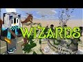 Supreme (But Insane) Wizard - Wizards [9]