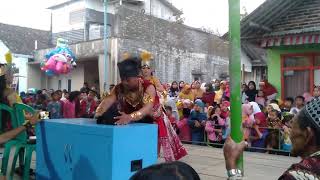Jangkrik genggong (mujhil budoyo) ds.banjaran, ngadimulyo selomerto