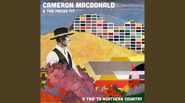 Dr Sved And The Westgate Bridge