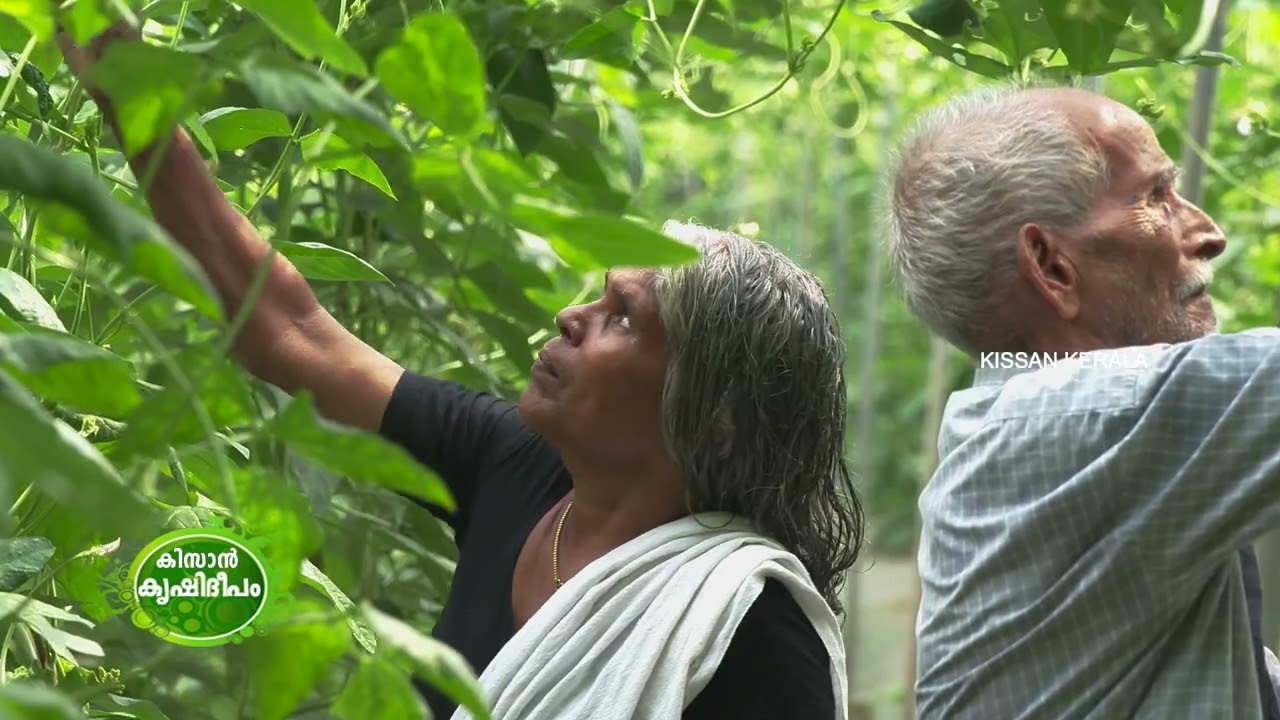 Kissan Krishideepam Episode - 1054