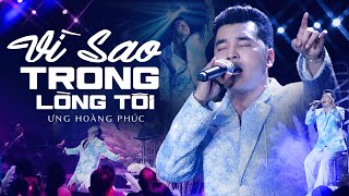 Vì Sao Trong Lòng Tôi - Ưng Hoàng Phúc | Lúc yêu em cũng là khi người đi rất xa...