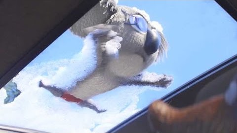 超キュート!コアラのバスターのカーウォッシュ姿／映画『SING／シング』特別版予告編