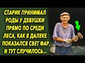 Дедушка увидел ее прямо по среди леса, как вдалеке показался свет фар, и тут случилось…