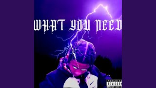 What You Need
