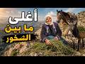 مامة تبحث عن عشبة نادرة بين الجبال ثم حدث ما لم نتوقعه 
