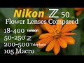 Nikon Z50 • Flower Lenses Compared