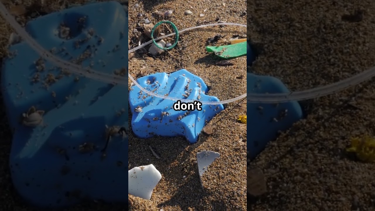 Marine Bacteria vs. Microplastics: The Battle Unseen!