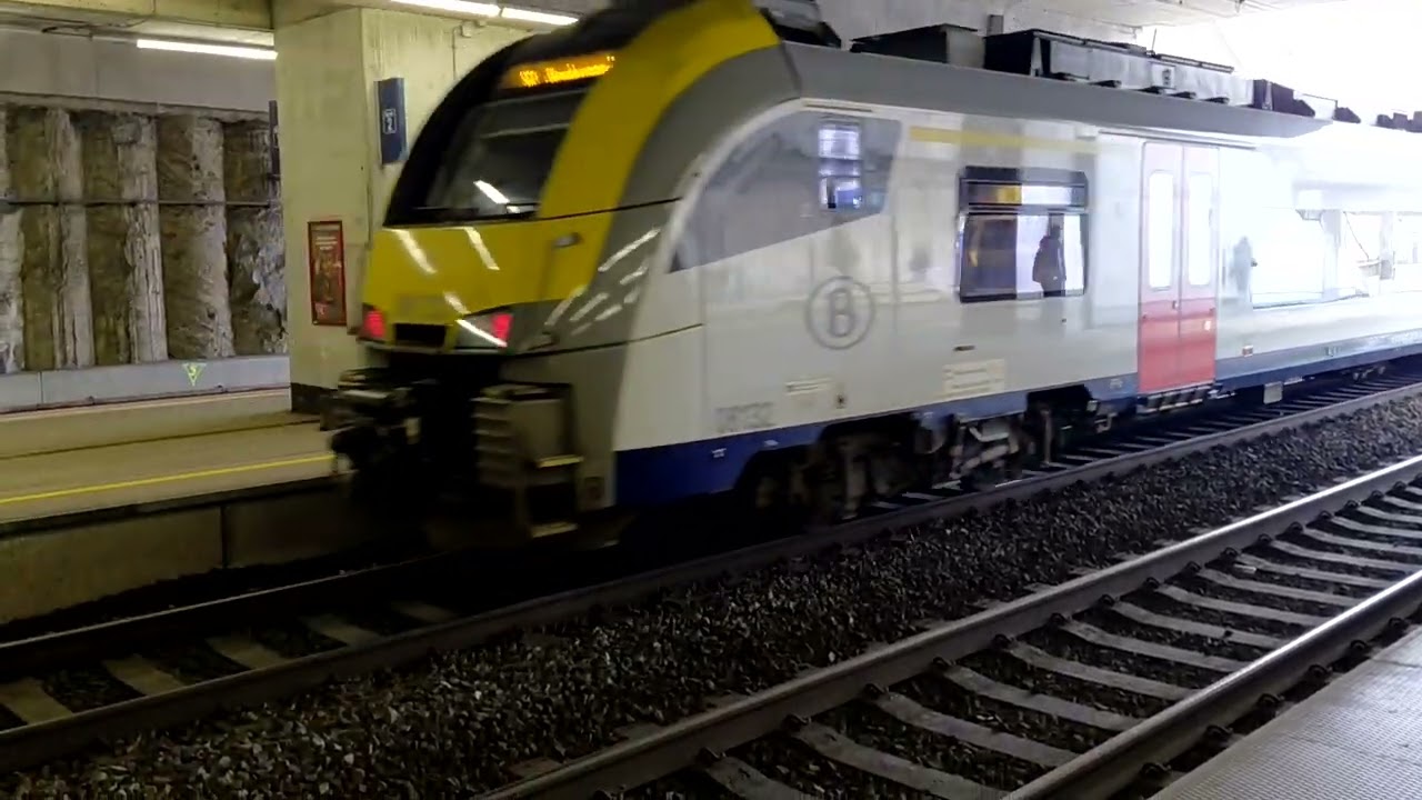 Treinen op station Halle 20/02/2026