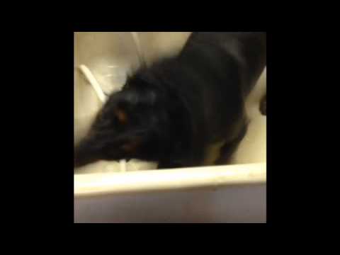 IMG 27371