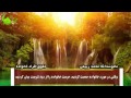 ملا محمد ربیعی