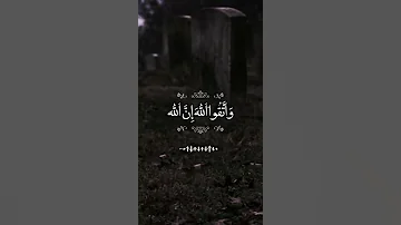 حالات واتس قران كريم محمد صديق المنشاوي 