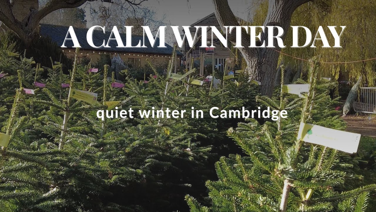 A Calm Winter Day in Cambridge | Burwash Manor, Tea Time & Cozy Moments