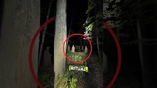 This Forest Hides Something Terrifying