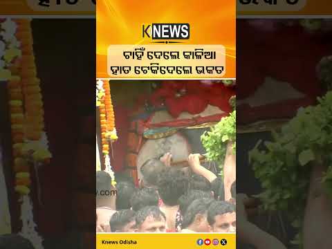 ଚାହିଁ ଦେଲେ କାଳିଆ ହାତ ଟେକିଦେଲେ ଭକତ #knewsodisha