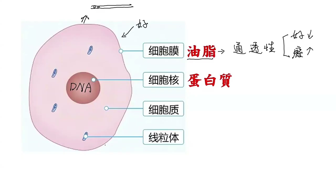 均衡營養才是王道~ 縮圖