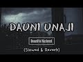 Dauni Unaji Soothing Nasheed Slowed Reverb Striver Muslim Lo Fi