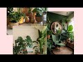 Indoor plants gardening decoration #homesaga #trendingshorts #bohochic #shortvideo  #homedeco