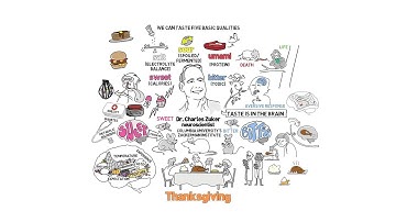 Thanksgiving: The Brain Science of Taste