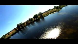 Beautiful Nature In Passow Uckermark Aug. 2020