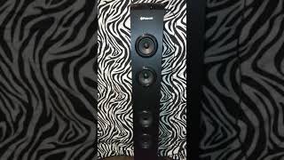 NEW Polaroid PBT3014 Wireless Tower Bluetooth Speaker Review 37 -- Song: Spectre by Alan Walker