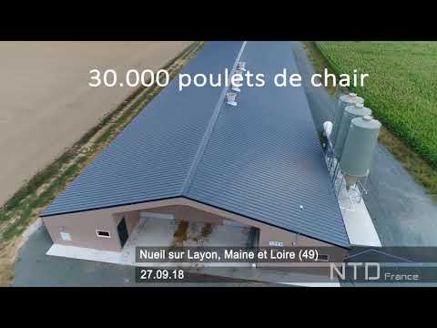 NTD France - Bâtiment Poulets de chair