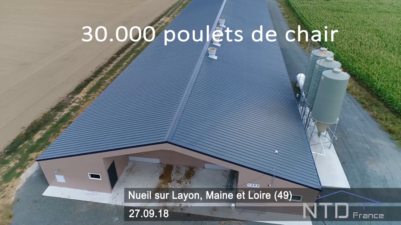 NTD France - Bâtiment Poulets de chair