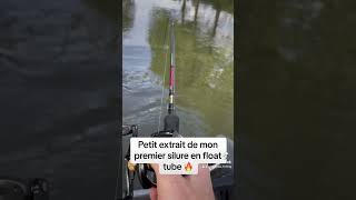 Ce SILURE est ÉNORME !! Il m’a fait un sacré COMBAT 🔥 #silure #catfish #fishing #fish #floattube