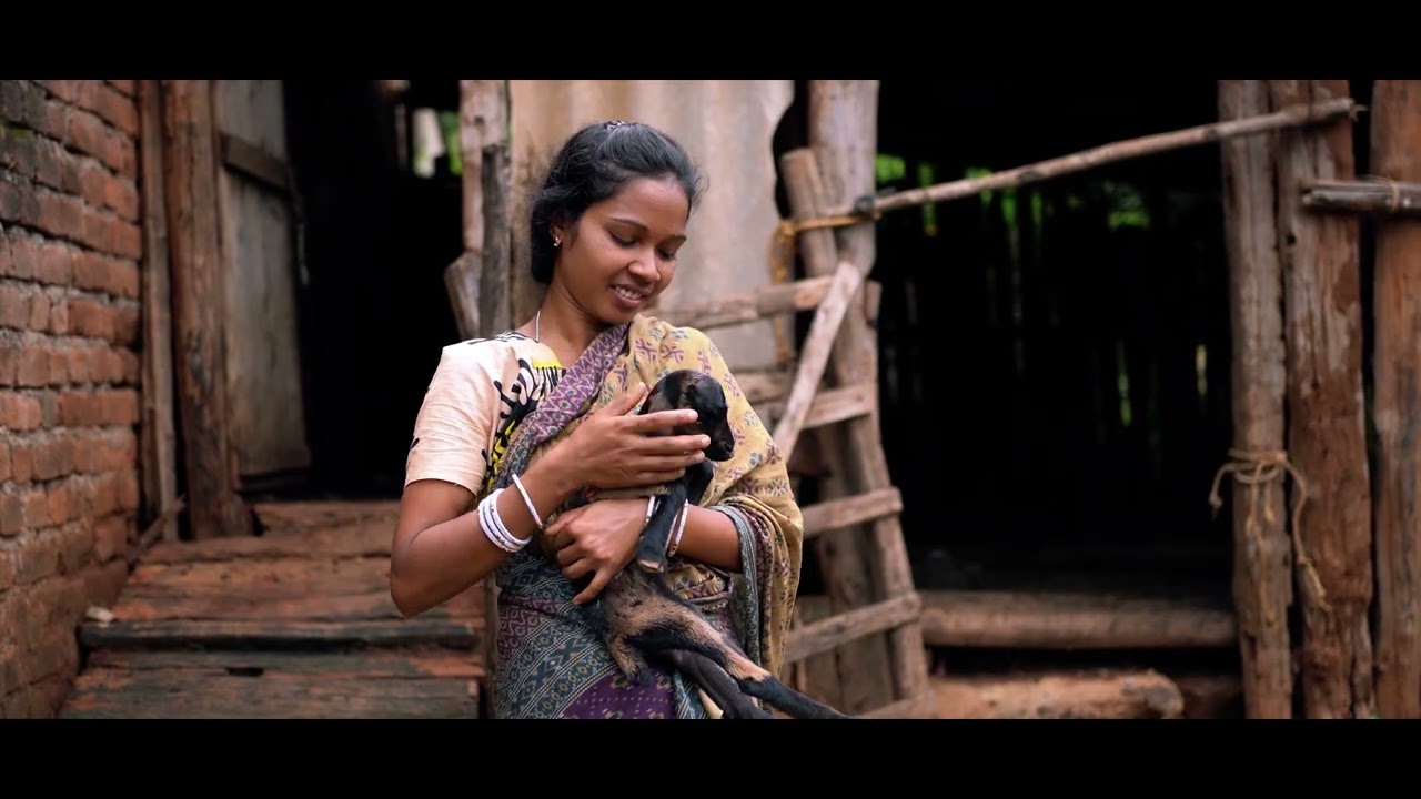 Profile video for grass-root NGO