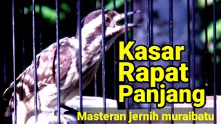 🔴 Pelatuk sampit beras full nembak rapat dan panjang ‼