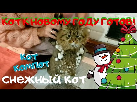 НОВОГОДНИЙ КОТ СНЕГОВИК | Поделись этим чудом с друзьями!| Снежный КОТ