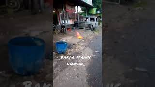 membakar sarang nyamuk dalam got..