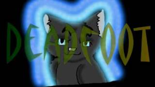 Warriors: Midnight casting call 1 (prologue) OPEN!