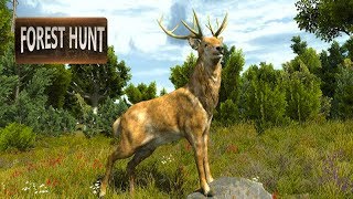Wild Animal Jungle Hunt - Forest Sniper Hunter Android Gameplay ᴴᴰ screenshot 3