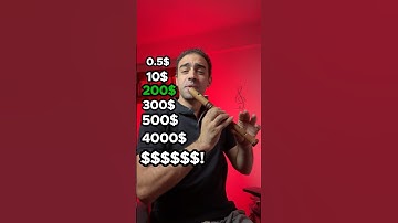 0.5$ vs $$$ — can you hear the difference? 😅🔥👉 which one wins for you! #beatbox #flute #recorder