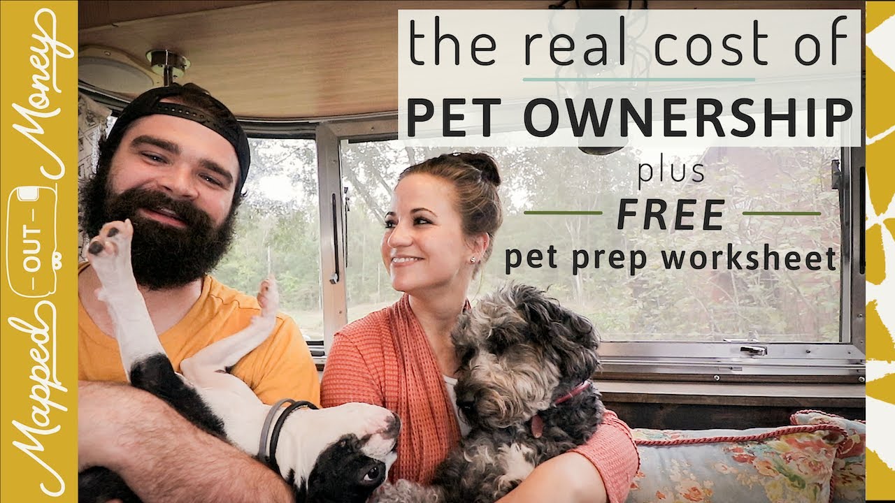 What’s the True Cost of Owning A Pet? YouTube