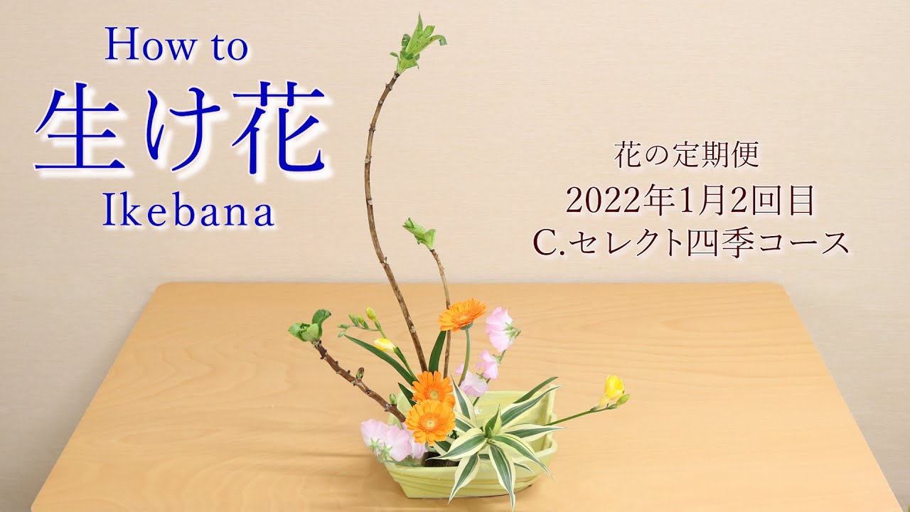 花の定期便 生け方動画 芽出し紫陽花 アジサイ ガーベラ フリージア スイートピー ドラセナ サンデリー Youtube
