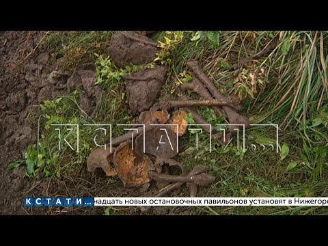Человеческие останки обнаружены во время благоустройства набережной Федоровского