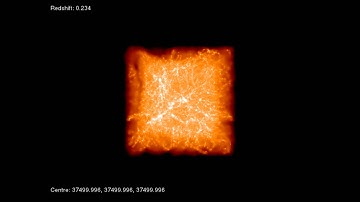 Cosmological simulation of 75Mpc/h