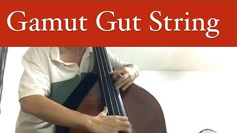 Gamut Gut String & It Could Happen To You