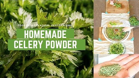 🌿Making Celery Powder: I