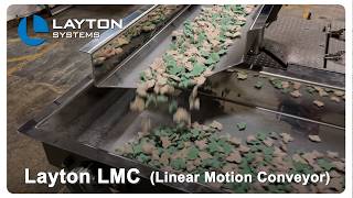 Layton Systems LMC Linear Motion Conveyor