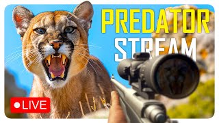 LIVE STREAM  Hunting predators (more schmeat for me) | theHunter: Call of the Wild