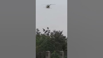 Agriculture sprayer drone operation on trees.