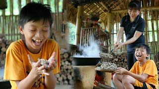 Ly & 13 year old homeless boy harvested a peanut garden to prepare food to sell | Daily Life
