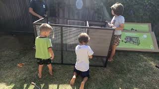 Fido and Fletch timber chicken coop unboxing and assembly timelapse