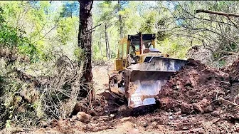 Heavy Equipment in Action: Caterpillar D7G Bulldozer Building Forest Roads #caterpillar #bulldozer