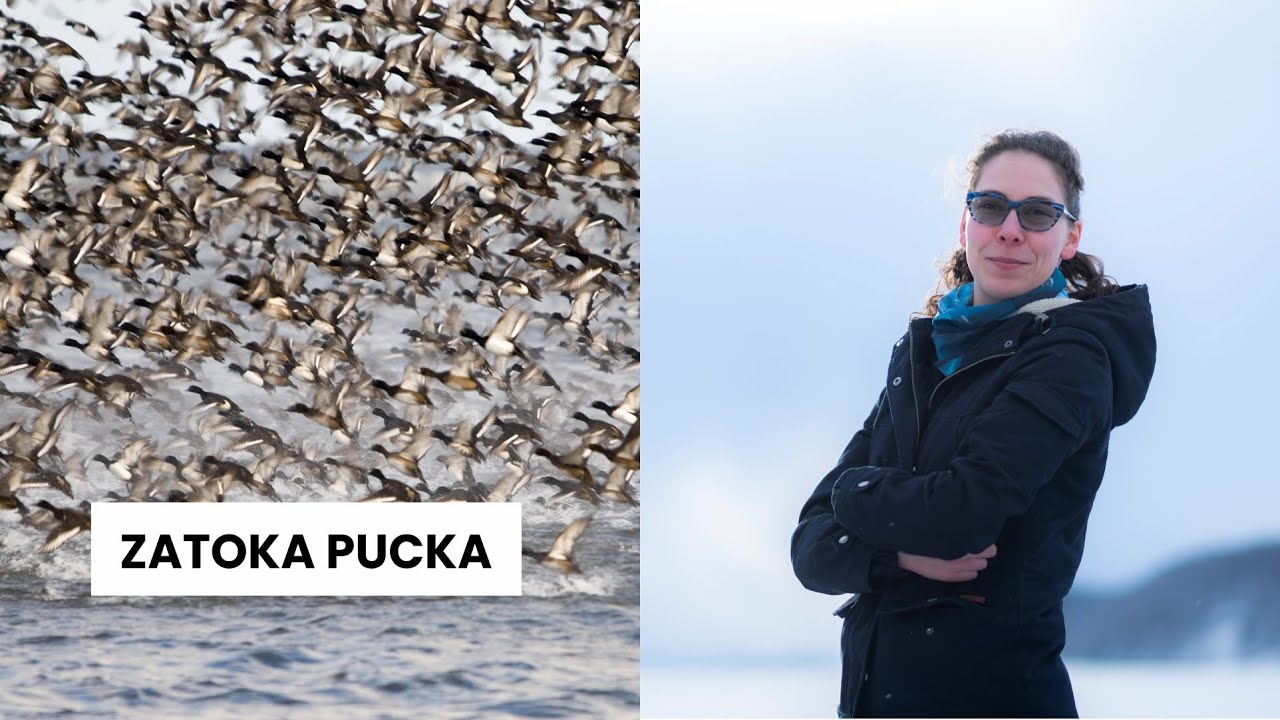 Taka mała, a taka ważna. ZATOKA PUCKA || Niepodręcznik Oceaniczny, odc. 129.