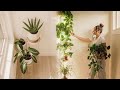 My unique houseplant diys  how to tend to the garden of your soul