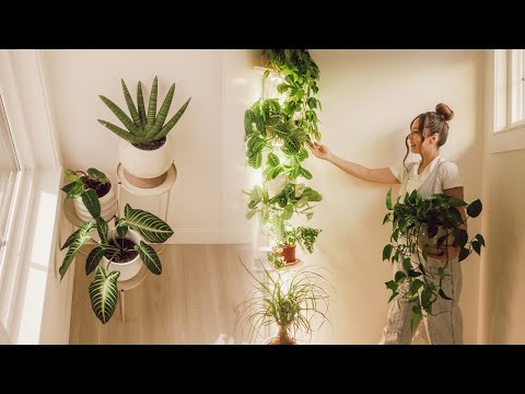 My Unique Houseplants Collection 🪴| How To Tend To The Garden Of Your Soul~